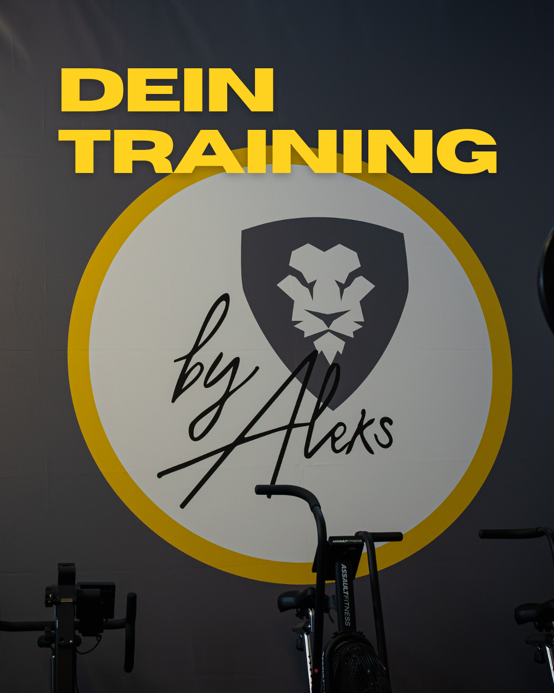 Aleksandar Radovan, Gründer und Trainer von Ferox Fitness
